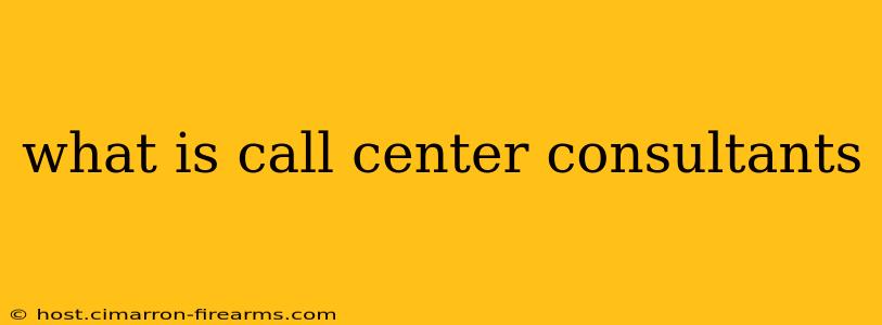 what is call center consultants