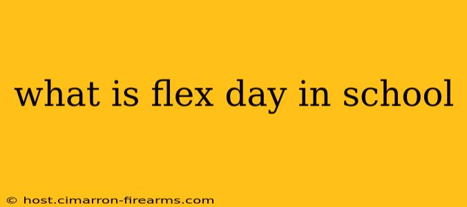 what is flex day in school