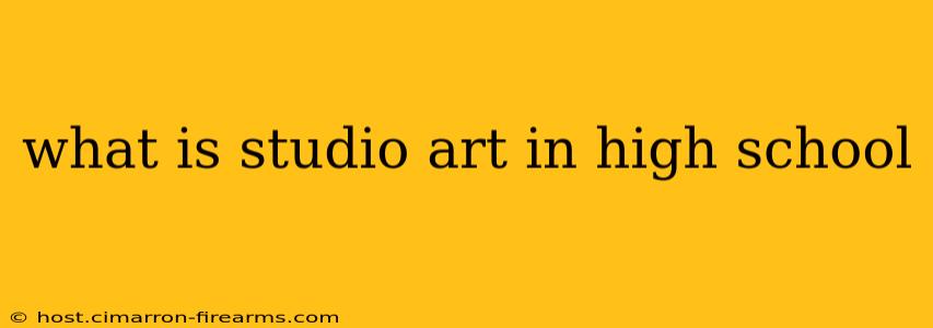 what is studio art in high school