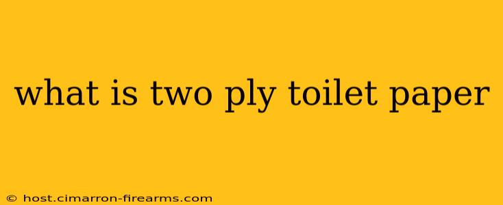 what is two ply toilet paper