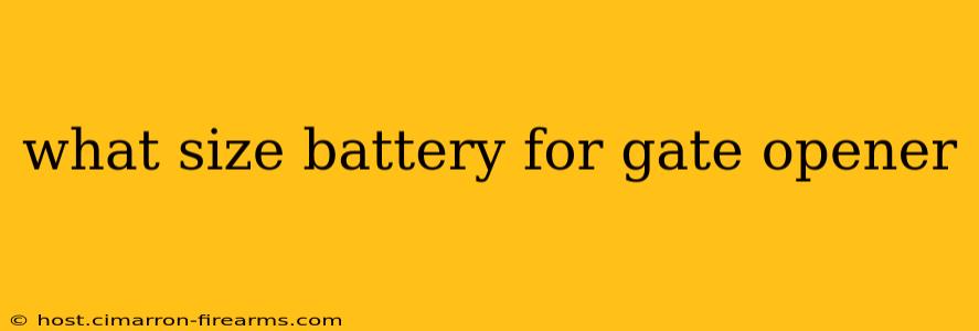 what size battery for gate opener