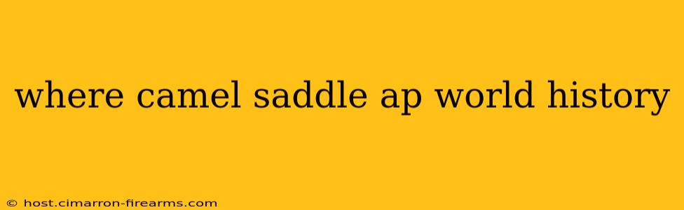 where camel saddle ap world history