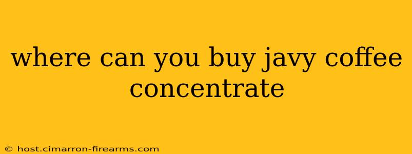 where can you buy javy coffee concentrate