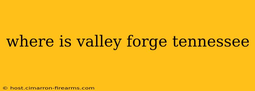 where is valley forge tennessee