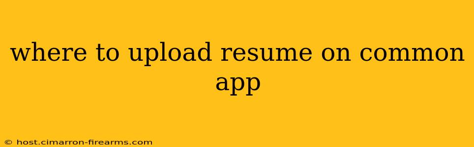 where to upload resume on common app