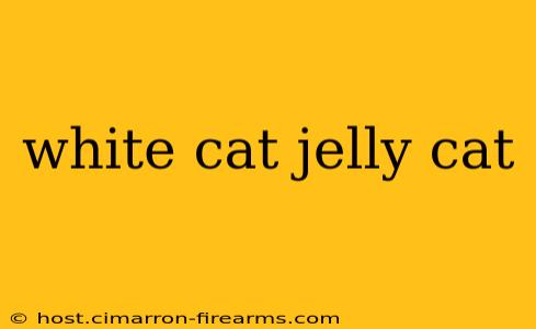 white cat jelly cat