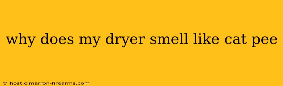 why does my dryer smell like cat pee