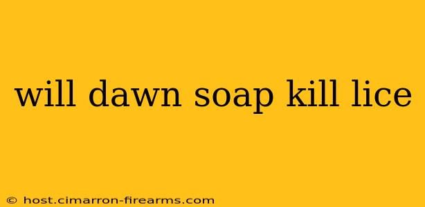 will dawn soap kill lice