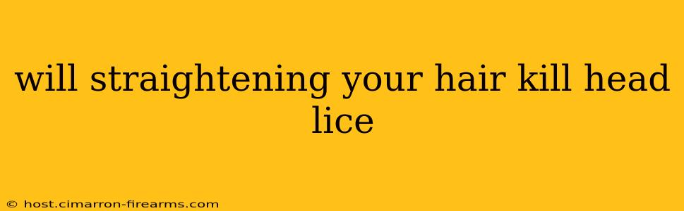 will straightening your hair kill head lice