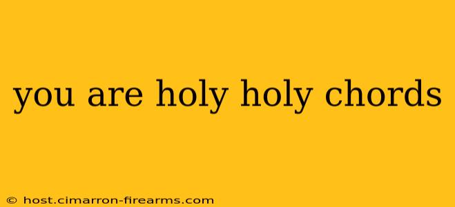 you are holy holy chords