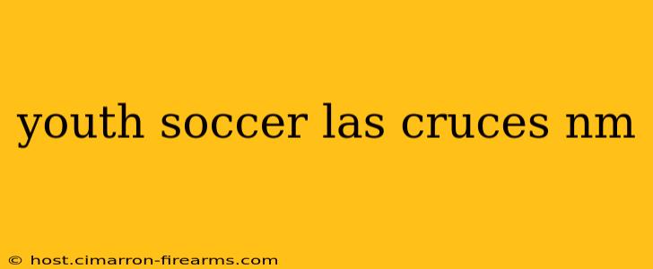 youth soccer las cruces nm